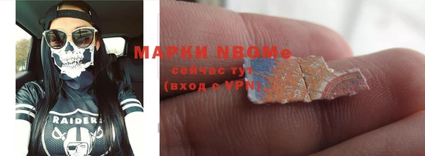 PSILOCYBIN Алзамай