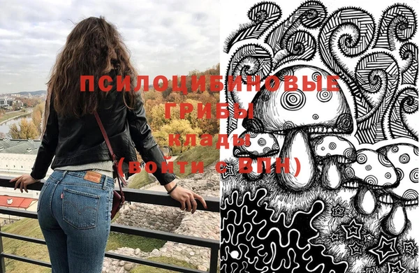 PSILOCYBIN Алзамай