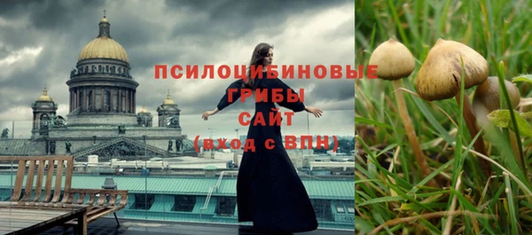 PSILOCYBIN Алзамай