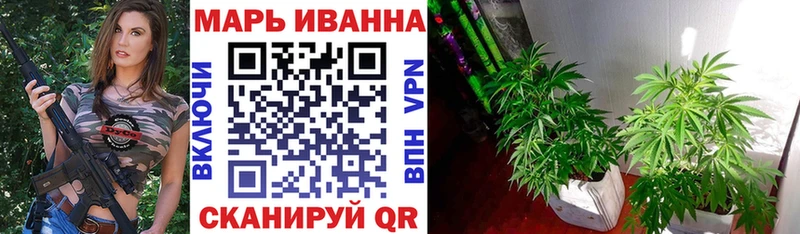 что такое   Мураши  Бошки марихуана гибрид 